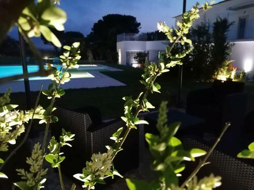 Apartamento P�rola D'�bidos T1