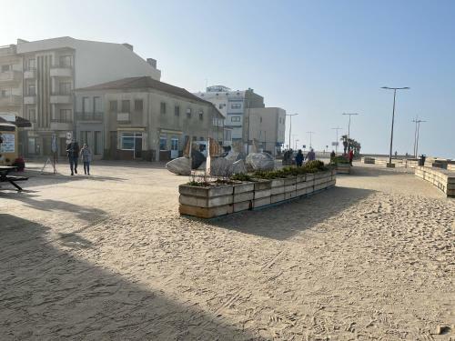 Apartamento Coral Seaside Living