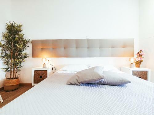 Apartamento Gold Suite T2-praia Do Furadouro