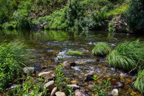 Cottage Da Paradinha: Passadi�os Do Paiva - Arouca