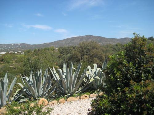 Apartamento Quinta La Paz