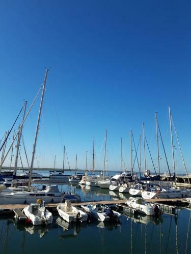 Apartamento A�oteia De Olh�o