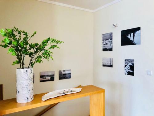 Apartamento Cavalo Marinho