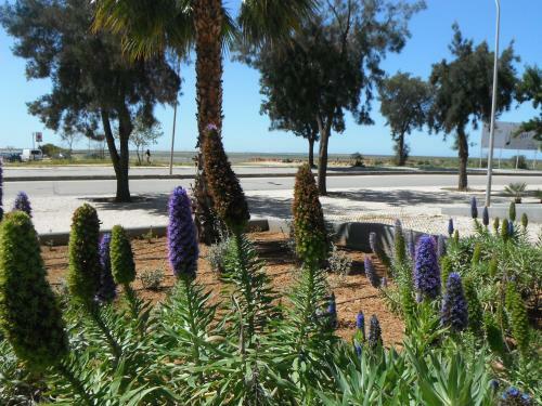 Apartamento Cavalo Marinho