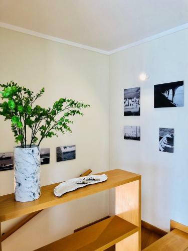Apartamento Cavalo Marinho