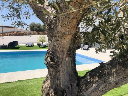 Hostal Quinta Ria Formosa