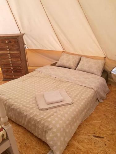 Bell Tent Nature