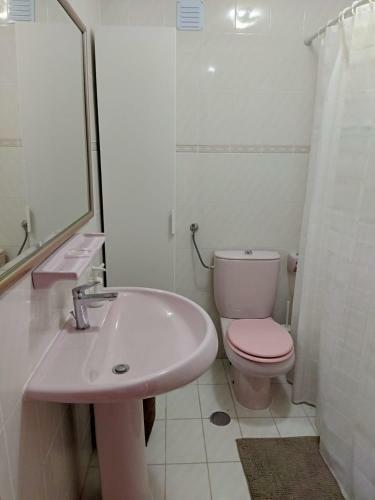 3 Bed Down Town Apartment