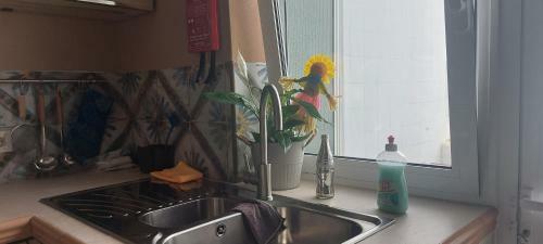 Apartamento Studio Pescador