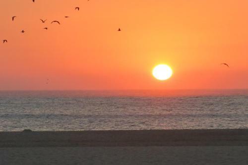 Apartamento Studio Serenabeach Nazar�