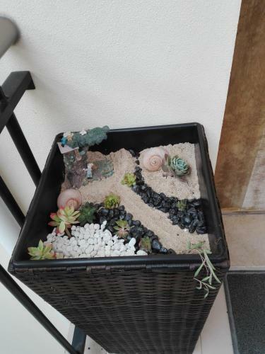 Apartamento Casa No Sitio