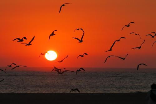 Apartamento Serena Beach 3