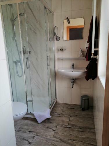 Hostal Gasthof-pension Wilder Mann
