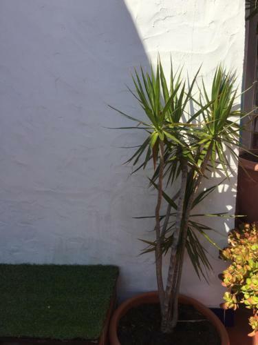 Apartamento Vila Fidalgo