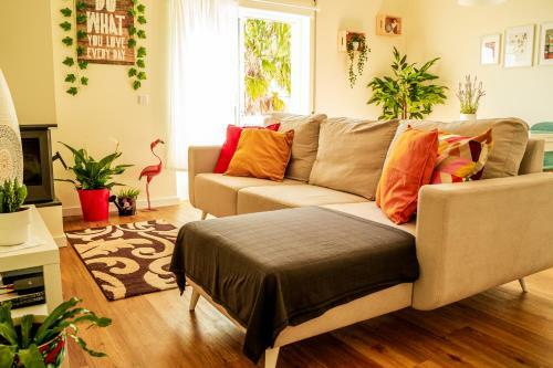 Apartamento Paz & Amor Flat Nazar� - Peace & Love