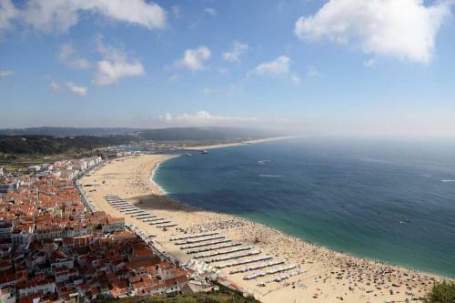 Canelle Apartamento Com Terra�o