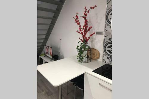Canelle Apartamento Com Terra�o