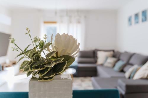 Apartamento Farol Beach Place