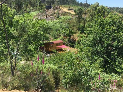 Gypsy Caravan - Shepherds Hut, Off Grid, River Views