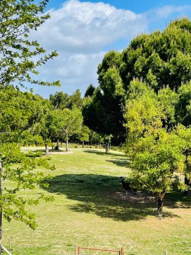 Agroturismo Monte Do Lago, Peg�es