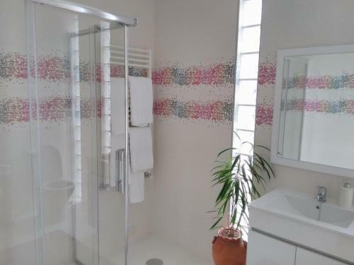 Hostal Charrua Do Mondego - Alojamento Local