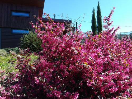 Villa Campo de Sobarbo - Guest House Rural
