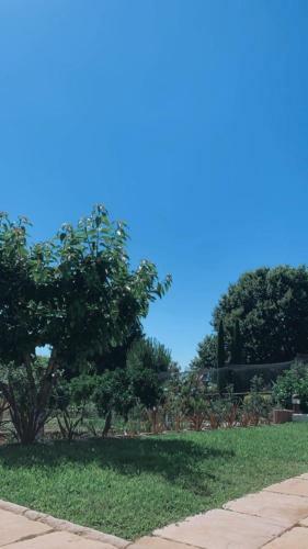 Villa Campo de Sobarbo - Guest House Rural