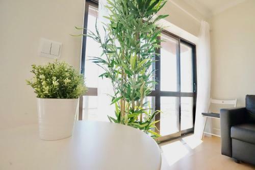 Apartamento Deluxe Oceanfront - Vue Sur La Mer