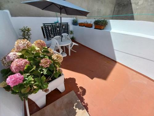 Apartamento 1.dezembro House