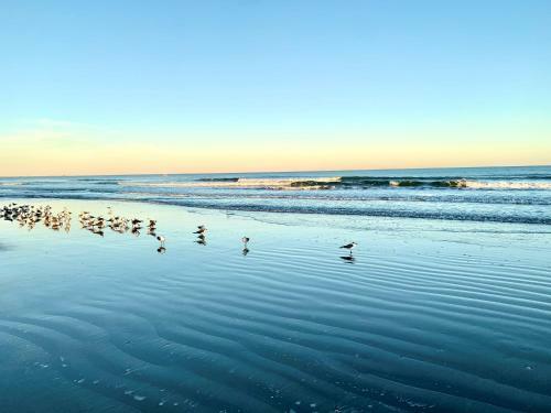 Cape Canaveral Near Beach House