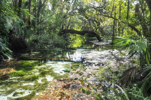 Modern Gem With Private Kayak Dock On Rainbow River!