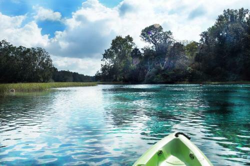 Modern Gem With Private Kayak Dock On Rainbow River!