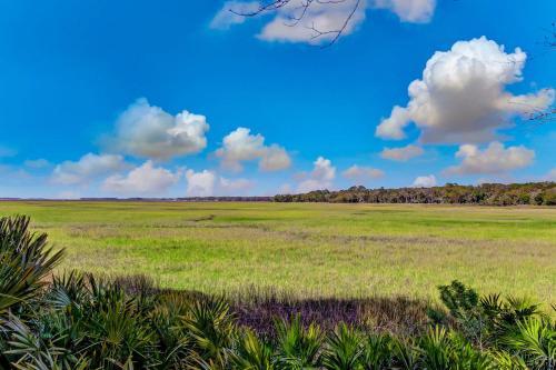 3117 Marsh View