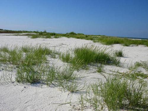 Estero Beach & Tennis 701a By Kathy Nesbit Vacations