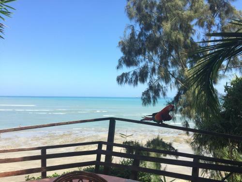Bed & Breakfast Hoster�a Ecol�gica El Faro