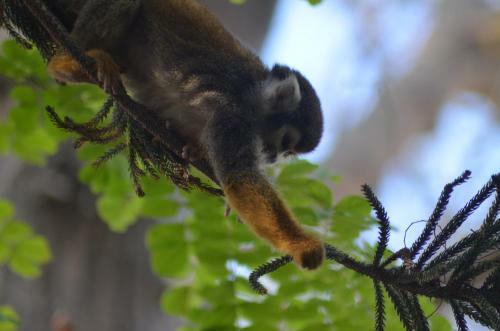 Bed & Breakfast Hoster�a Ecol�gica El Faro