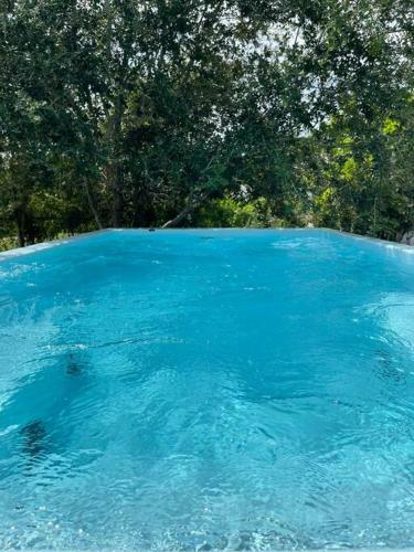 Luxe Jupiter Heated Pool Home-beaches, Roger Dean