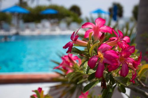 Apartamento Turtle Cay Island Delight C327