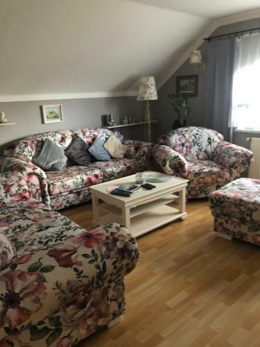 Apartm�n U M�?i