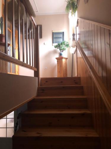 Apartm�n U M�?i