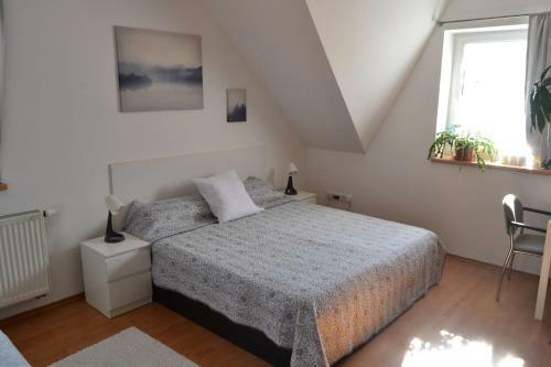 Hostal Pension U Sovy