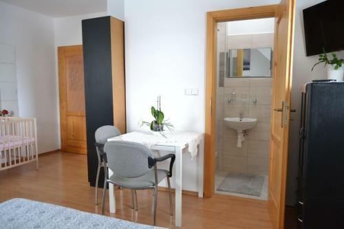 Hostal Pension U Sovy