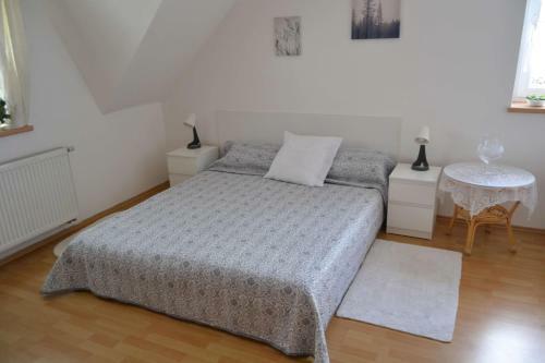 Hostal Pension U Sovy