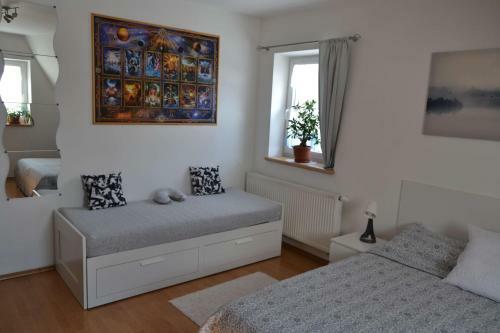 Hostal Pension U Sovy