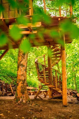 Lodge Treehouse Pod Jestedem