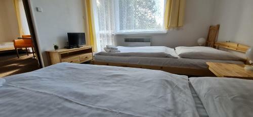 Hotel Svratka