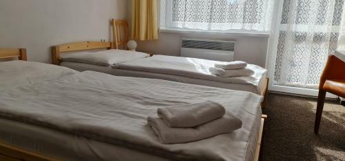 Hotel Svratka