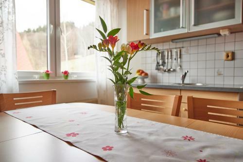 Apartm�n Svoboda