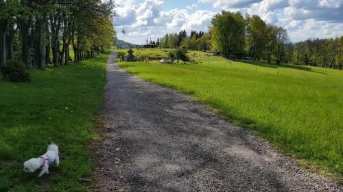 Ubytov�n� V Soukrom� - Apartm�n Meran