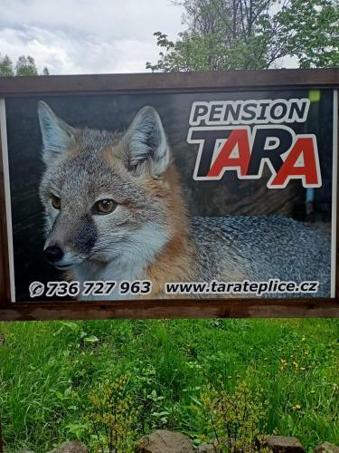 Hostal Pension Tara